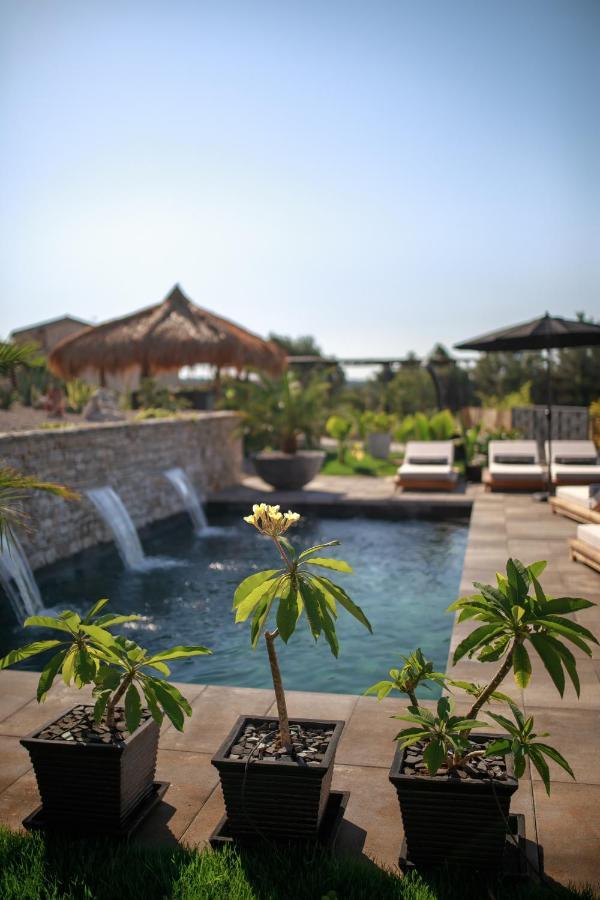 Villa Merapi Sveti Lovrec Pazenaticki Ngoại thất bức ảnh